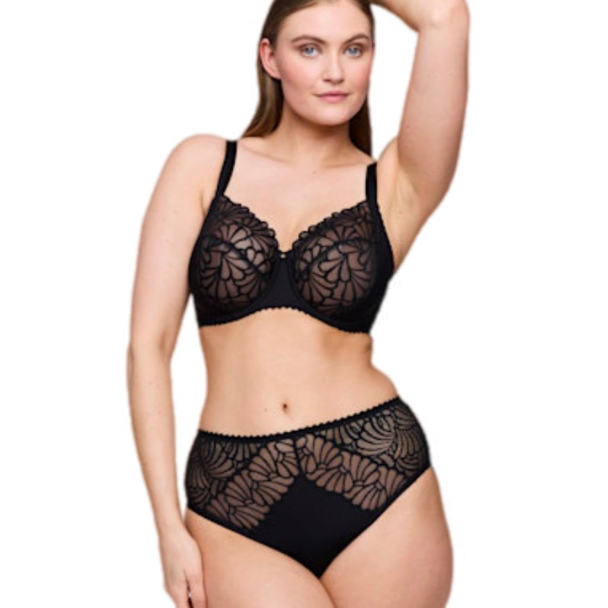 PrimaDonna Gallipoli Brief