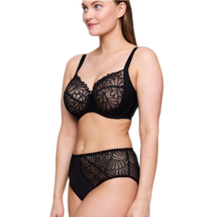 PrimaDonna Gallipoli Brief